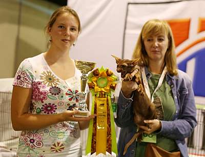 �������� ����� 20-21 �������� 2014 WCF-�����  10-208-169A1442 copy.jpg